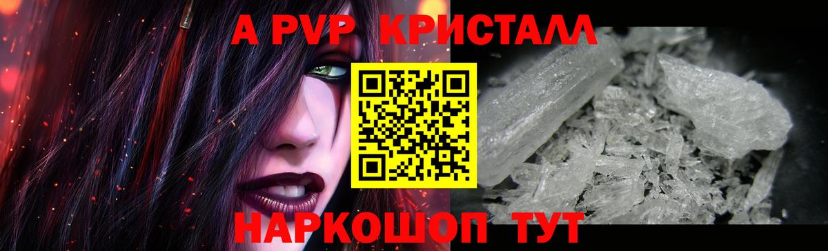 A PVP СК КРИС Нефтекумск
