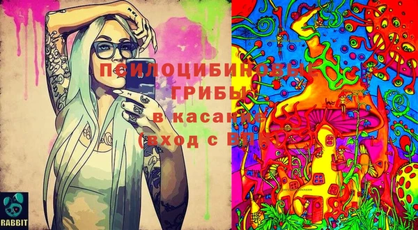 дурь Армянск
