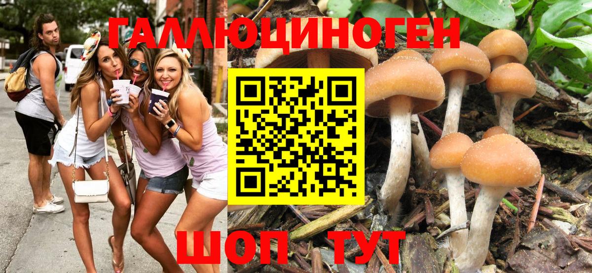 Псилоцибиновые грибы мицелий  Вход с VPN  Нефтекумск  Псилоцибиновые грибы MAGIC MUSHROOMS 